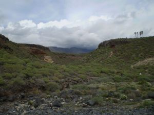 Landschaft